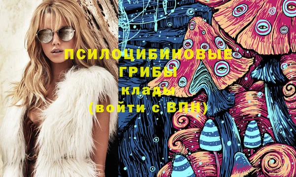 ГАЛЛЮЦИНОГЕННЫЕ ГРИБЫ Баксан