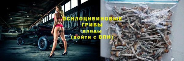 ГАЛЛЮЦИНОГЕННЫЕ ГРИБЫ Баксан