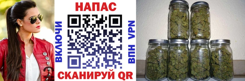 Конопля White Widow Изобильный